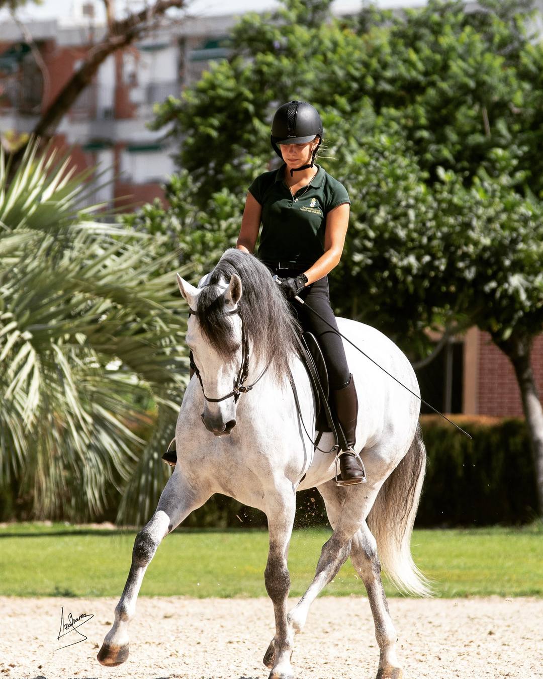 Anaëlle Stanislao Pascual au trot rassemblé sur un cheval gris, dans les jardins de la Real Escuela à Jerez.